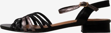 Sandales 'Supermodische Riemchensandalen' POTI PATI en noir : devant