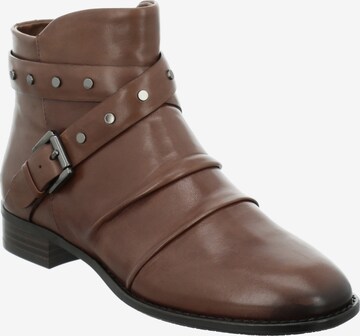 GERRY WEBER Booties 'SENA 31' in Brown