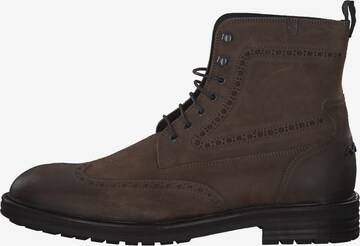 Floris van Bommel Boots in Brown