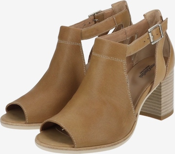 Nero Giardini Sandals in Brown