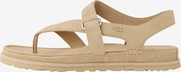 smėlio UGG Šlepetės per pirštą 'GoldenGaze': priekis