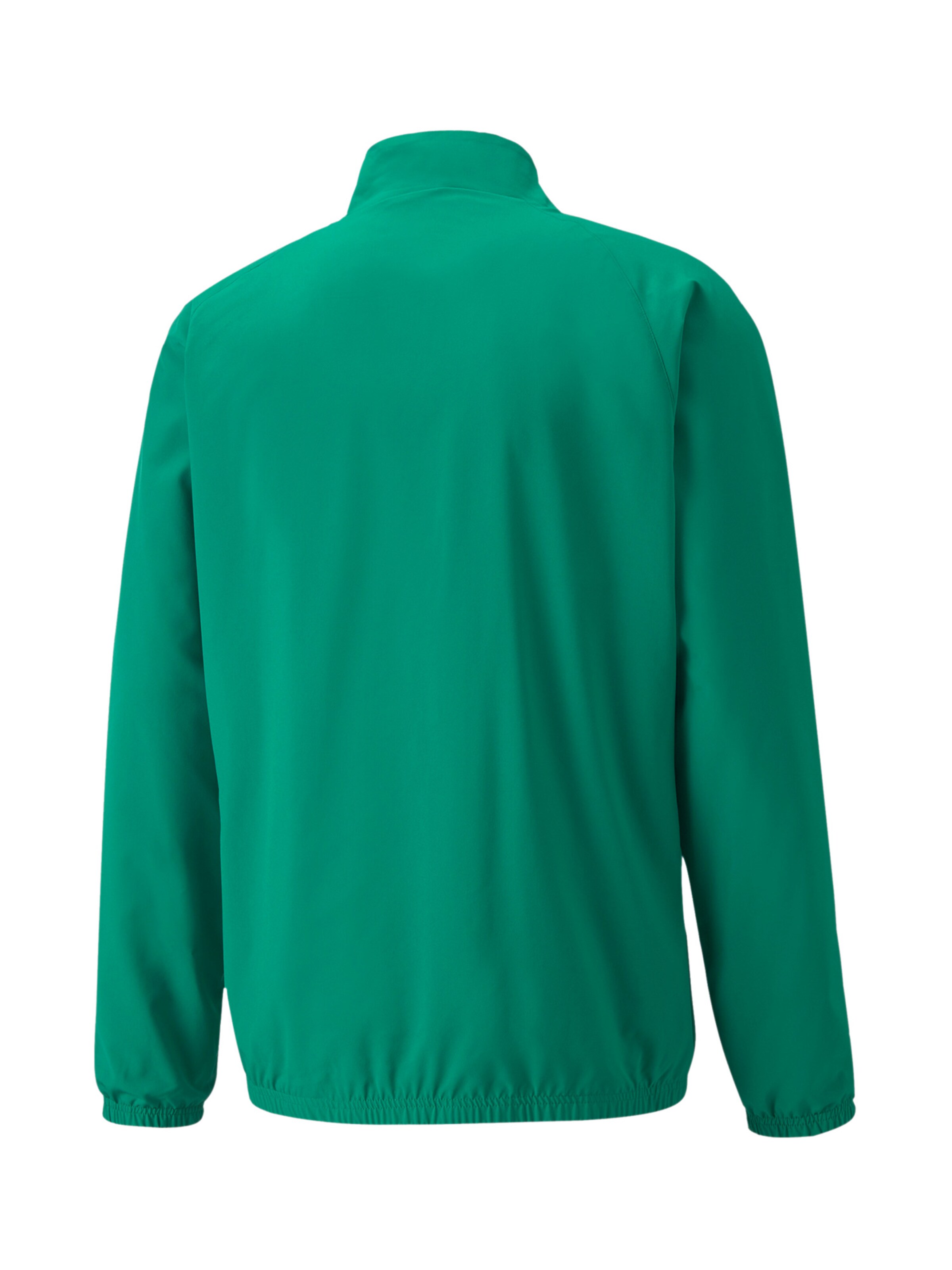 PUMA Sportjacke 'Team Liga' in Grün