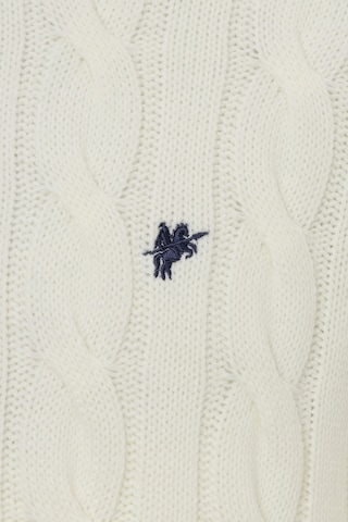 DENIM CULTURE Sweater ' JOEL ' in Beige