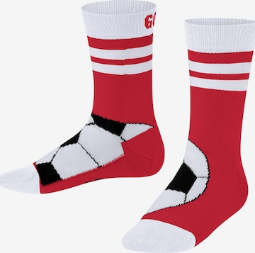 FALKE Socken 'Active Soccer' in Rot: Vorderseite