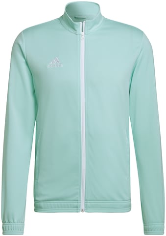 ADIDAS PERFORMANCE - Chaqueta de chándal 'Entrada 22' en verde: frente