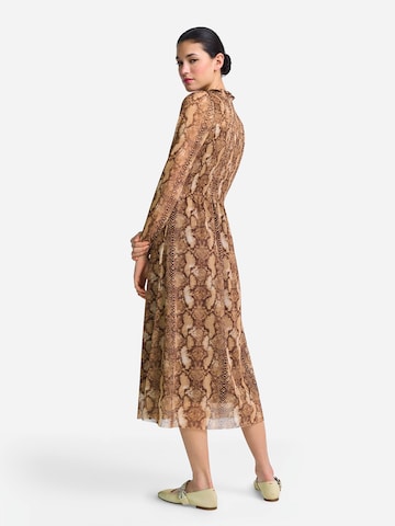 Rich & Royal Dress in Brown