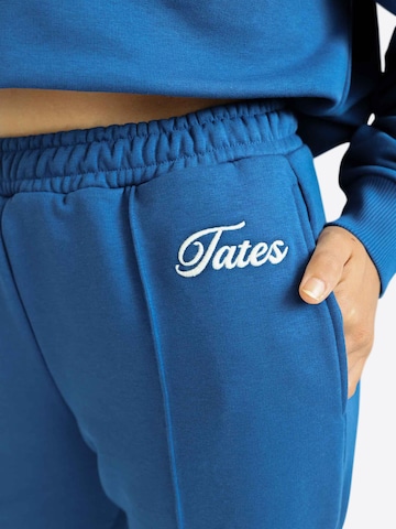 TATES Regular Sporthose 'Light' in Blau