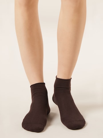 CALZEDONIA Socken in Braun: Vorderseite