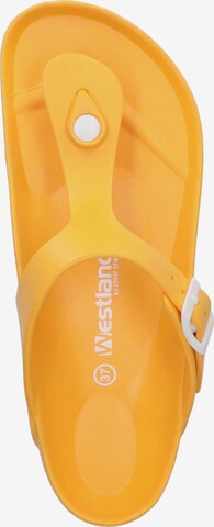 Westland T-Bar Sandals 'Martinique 02' in Yellow