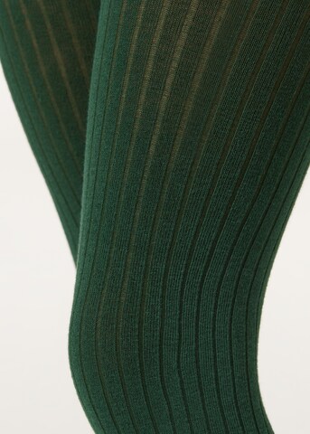 CALZEDONIA Tights in Green
