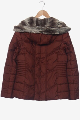 Bexleys Jacket & Coat in L in Brown
