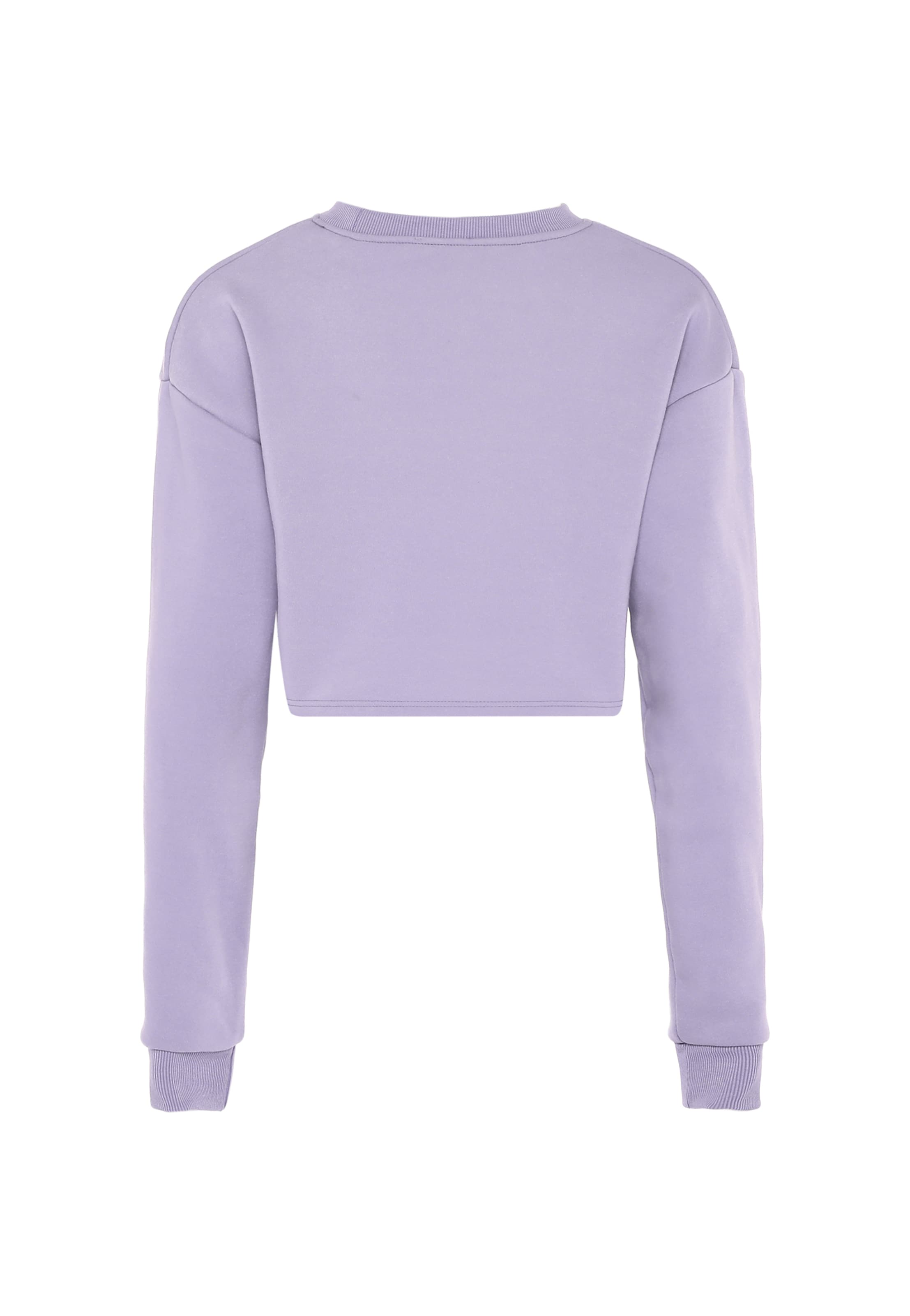 hoona Sweatshirt in Lila