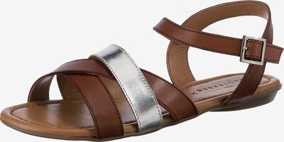 Paul Vesterbro Sandale in braun / silber, Produktansicht