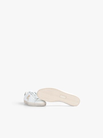 Scalpers Låg sneaker i beige