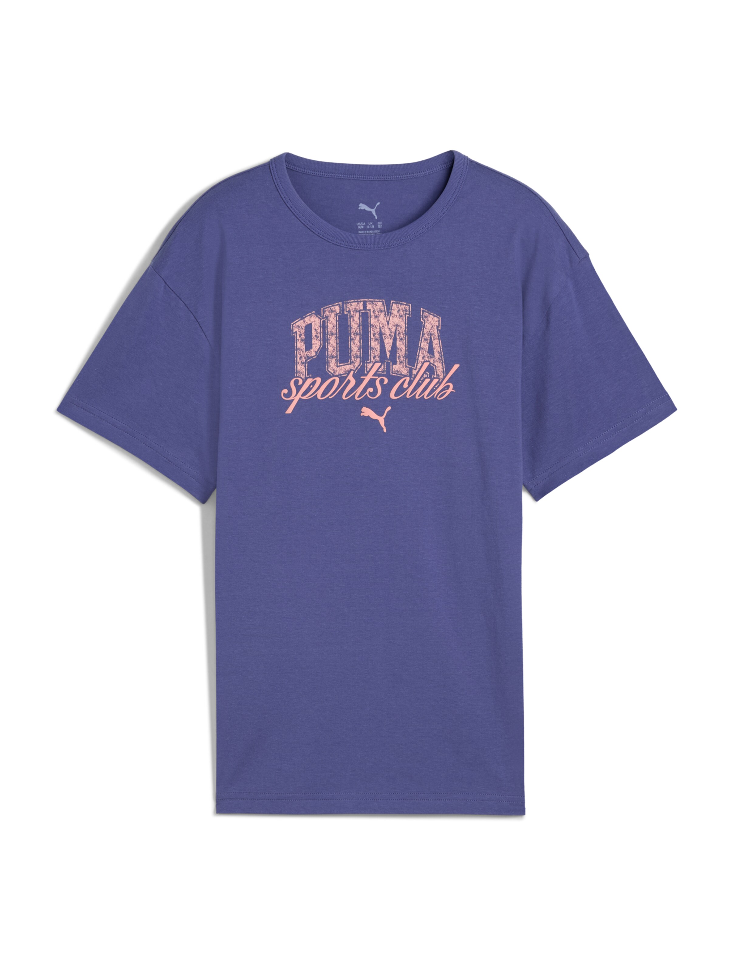 PUMA Tričko 'Class II' - Modrá: predná strana