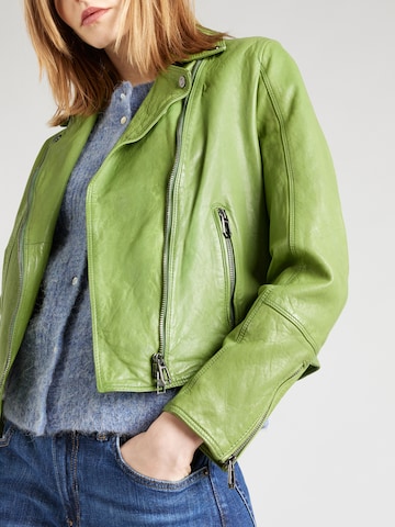 JOOP! Prehodna jakna | zelena barva