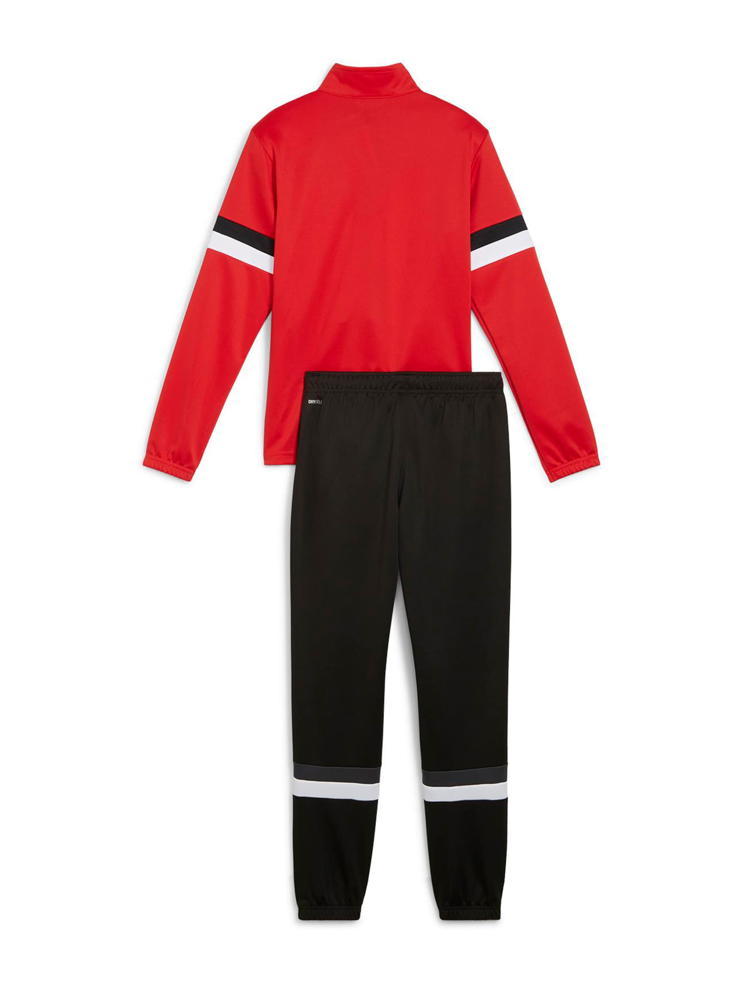 PUMA Tréningruha 'TeamRise' - vegyes színek