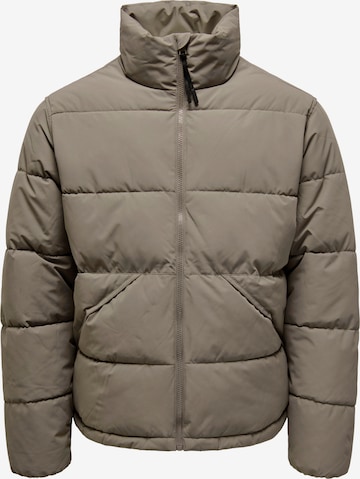 Only & Sons Зимняя куртка 'ONSPACK' в Коричневый: спереди