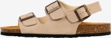 Zoccoletto di Plakton in beige: frontale