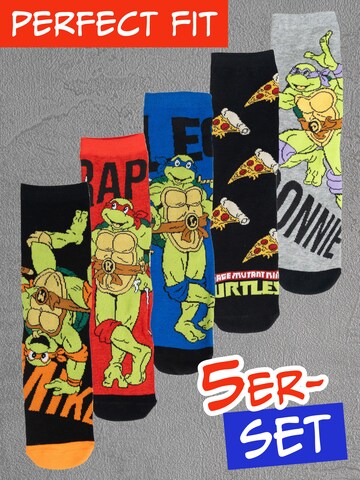 Teenage Mutant Ninja Turtles Socks in Mixed colors