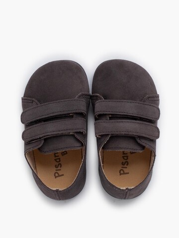 Pisamonas Sneakers in Grey