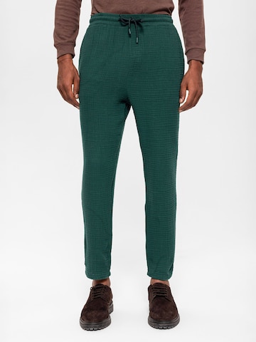 Coupe slim Pantalon Antioch en vert : devant