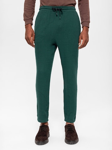 Slimfit Pantaloni di Antioch in verde: frontale