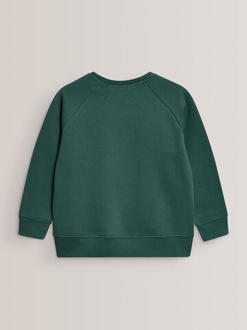 Next Sweatshirt in Green