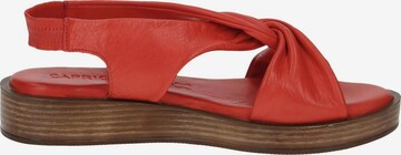 CAPRICE Strap Sandals in Red