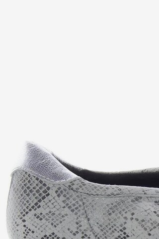 CAPRICE Sneakers & Trainers in 40,5 in Grey