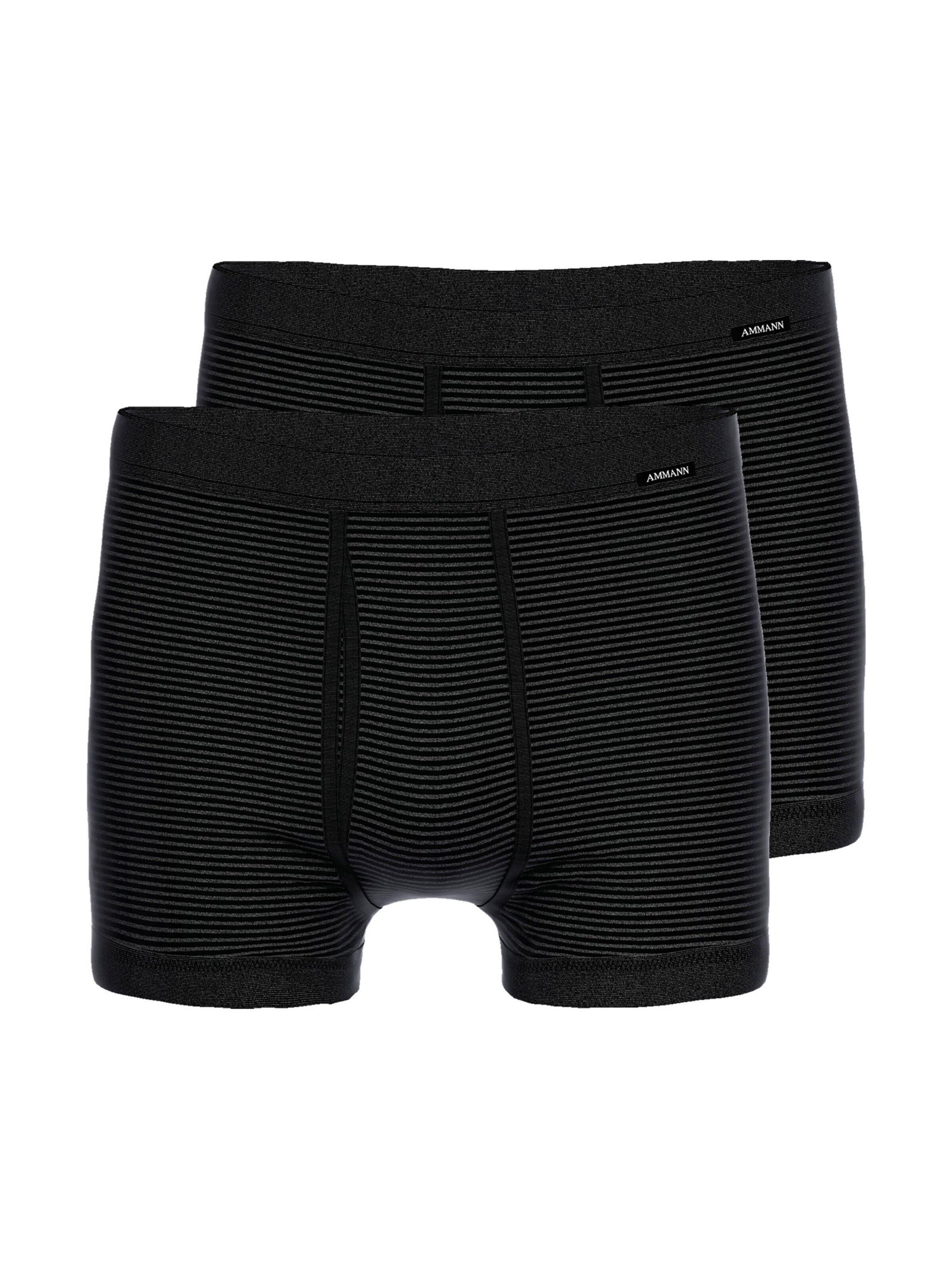 Ammann Boxer shorts 'Day Classic' in Grey: front