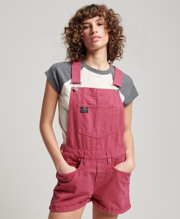 Superdry Regular Tuinbroek in Roze