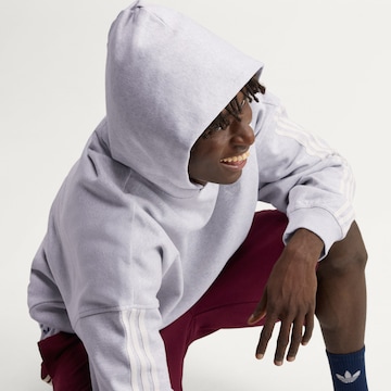ADIDAS ORIGINALS Sweatshirt i grå