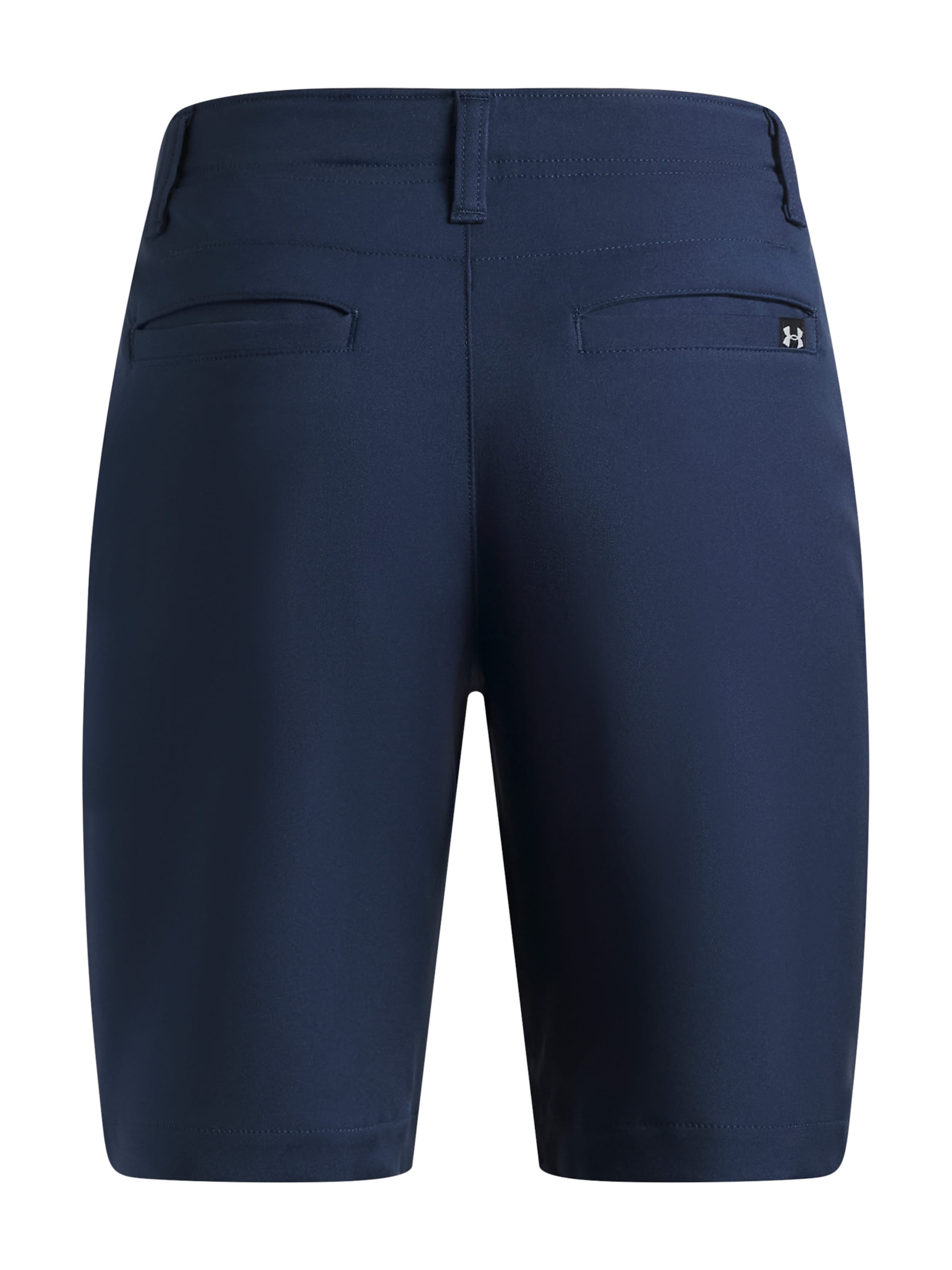 UNDER ARMOUR Regular Sportbroek in Blauw