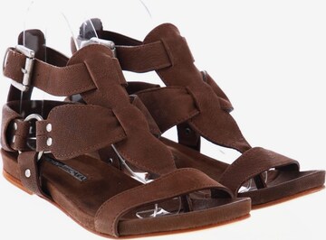 BARACHINI Sandals & High-Heeled Sandals in 38 in Brown: front