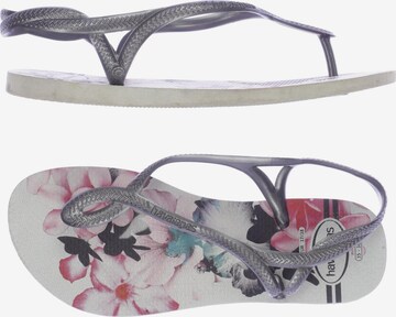 HAVAIANAS Sandals & High-Heeled Sandals in 35 in Grey: front