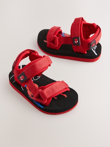 Next Sandale 'Spiderman' in Rot