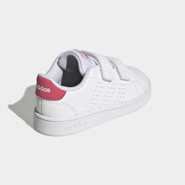 Baskets 'Advantage CF' ADIDAS ORIGINALS en blanc