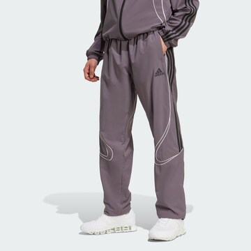 ADIDAS ORIGINALS Свободный крой Штаны 'Teamgeist Adicolor' в Серый: спереди