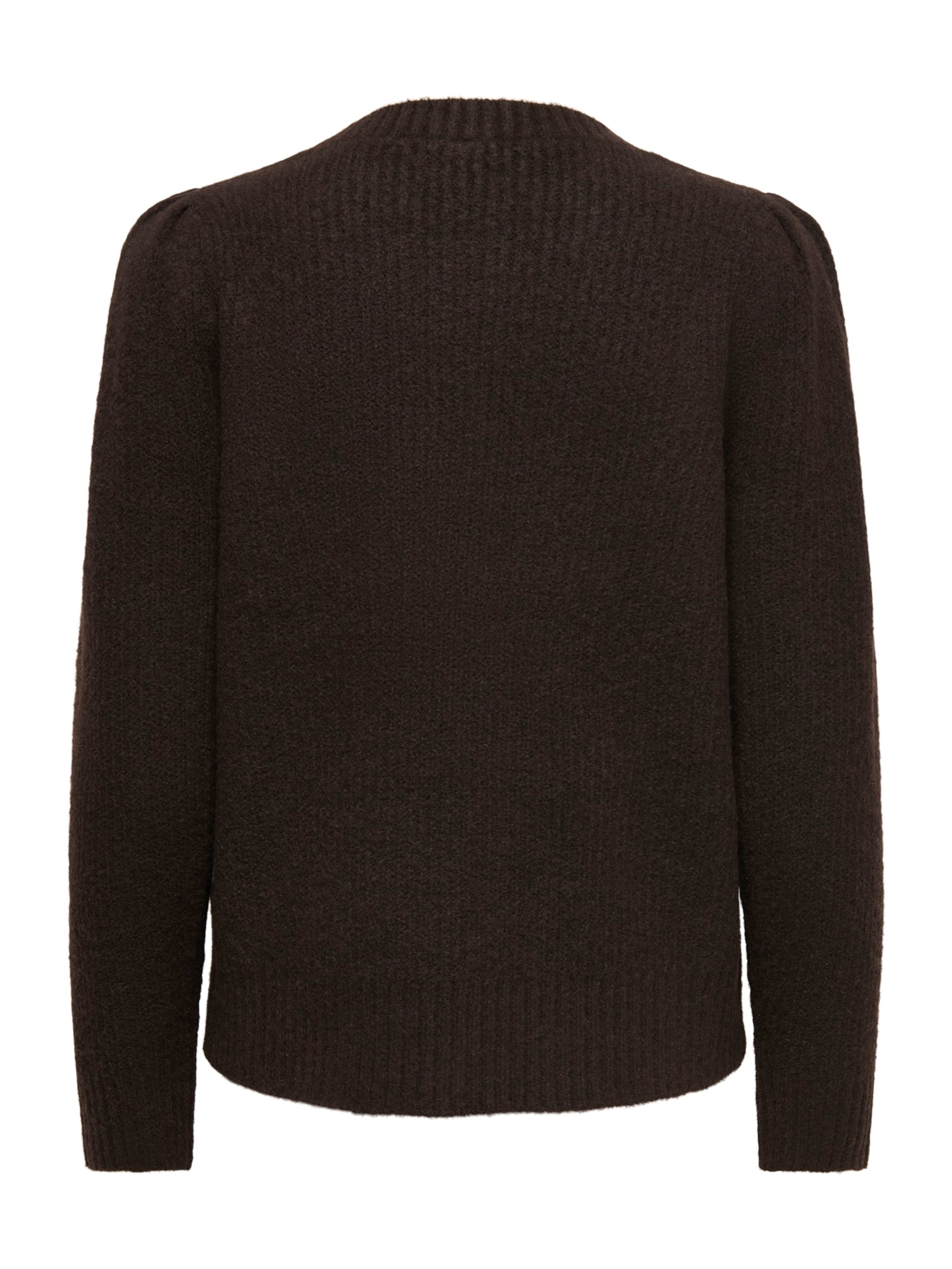 ONLY Sweater 'ONLVIGGA' in Brown