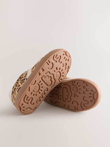Next Trainers in Brown