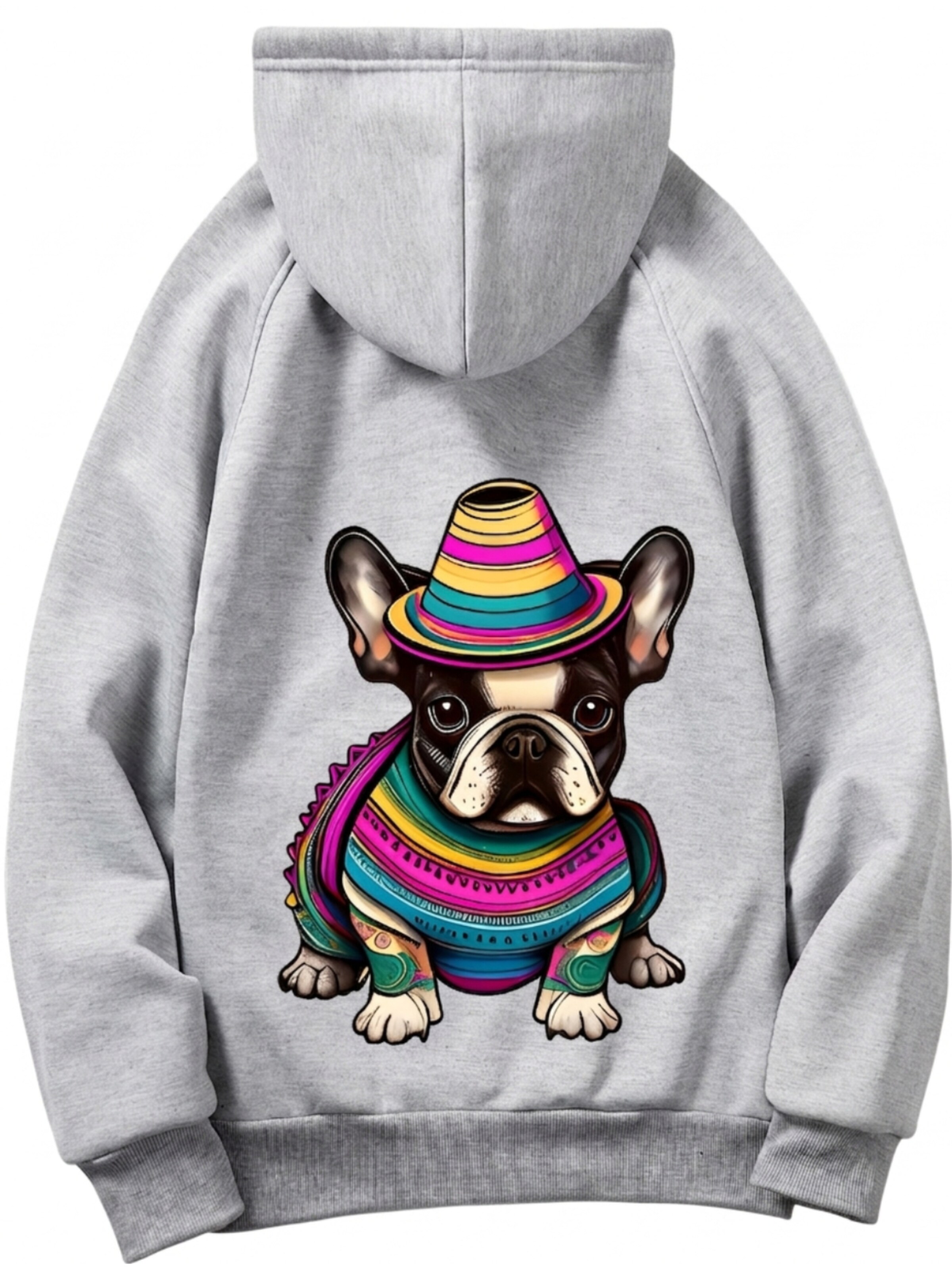 RMK Sweatshirt 'Hund Mexico'‌‌‌‌‌‌‌ in Grau: Vorderseite