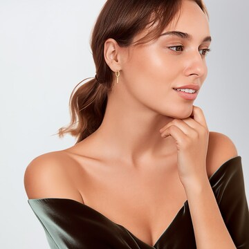 Boucles d'oreilles Lucardi en or : devant