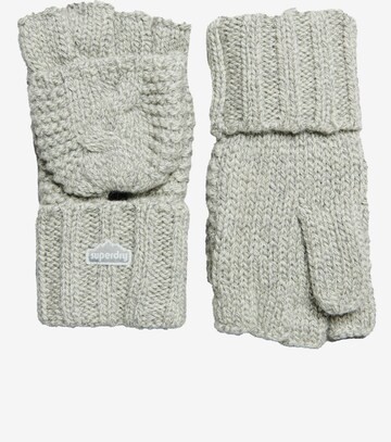 Superdry Full Finger Gloves in Grey: front