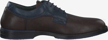 Chaussure à lacets '312338' Galizio Torresi en marron