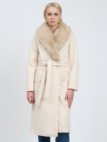 Influencer Winter Coat in Beige: front