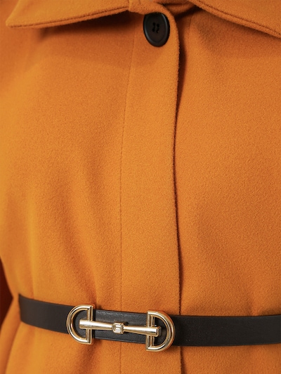 Bigdart Pláštěnka - tmavě oranžová, Produkt