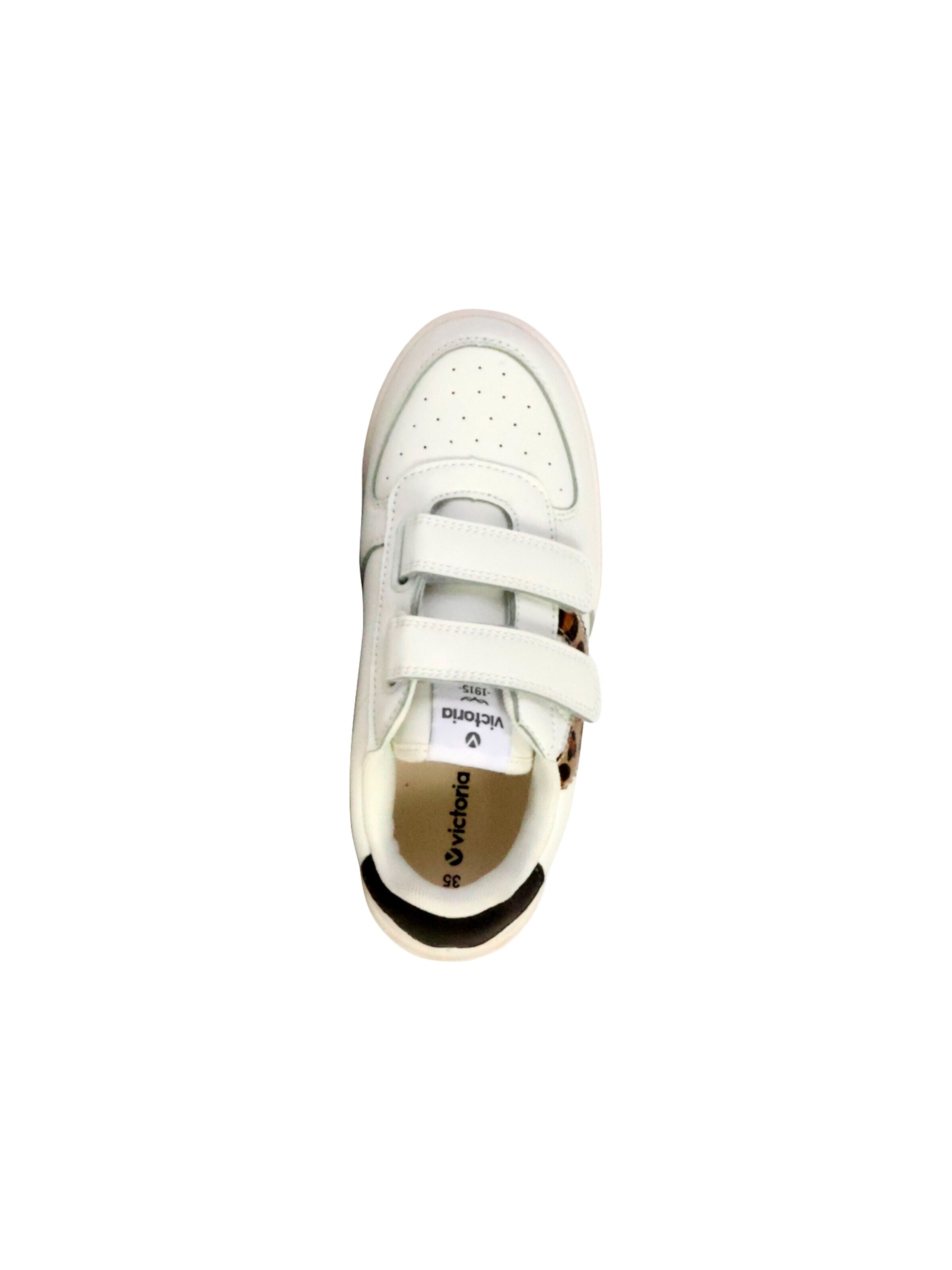 victoria Sneaker‌‌‌ in Braun