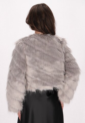 faina Between-season jacket in Grey