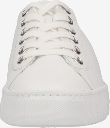 Sneaker bassa di Paul Green in bianco